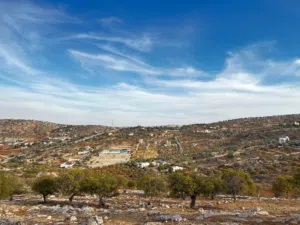 Residential Land for Sale in Zarqa Al-Alouk