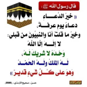 ورش جزر للابقار والاغنام