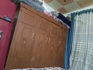 كنتور عراقي