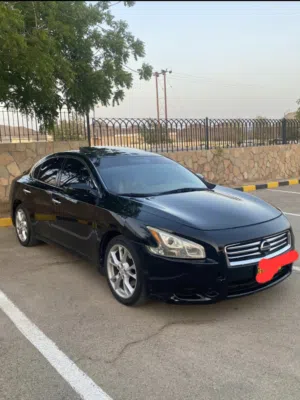 Used Nissan Maxima in Al Sharqiya