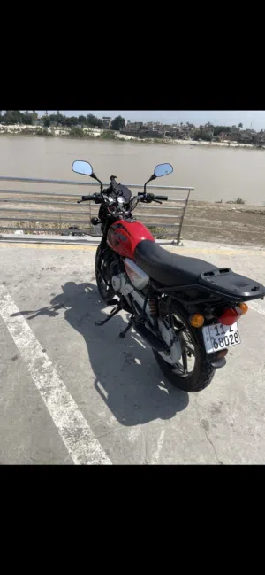 بوكسر جبلي رقم بغداد
