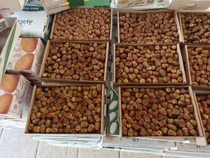 Dates1