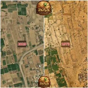 الإسقاط الجوي للأراضي والبيوت في اليمن