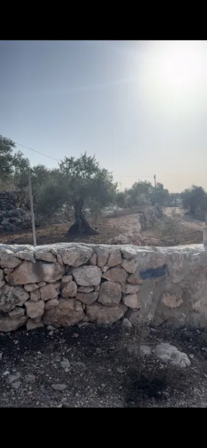 الاستخدام المتعدد . 2300 م٢ . المالك1