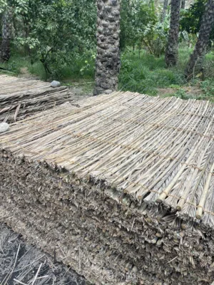 دعون بخوص وبدون خوص