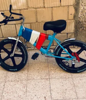 سيكل صيني ا
