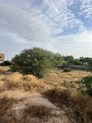 Residential Land for Sale in Tripoli Ain Zara