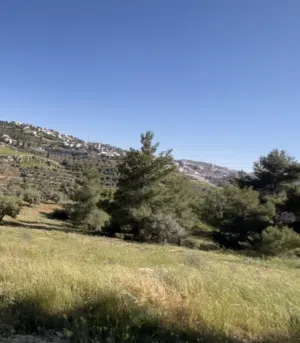 أرض (سكن أ خاص) بإطلالة ساحرة