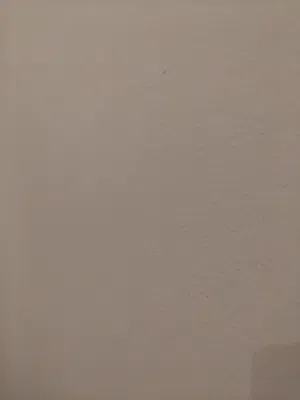 شقه ايجار في شارع الجمهوريه