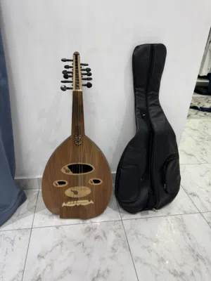 Oud Guitar (barely used)