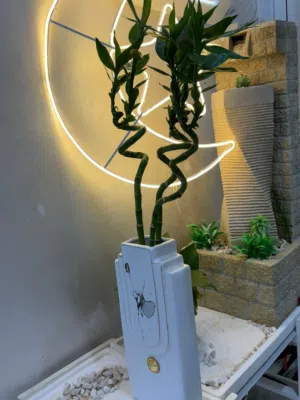 3 indoor bamboo plants with an elegant vase for sale in Al Ain - Al Rawda Al Sharqiya