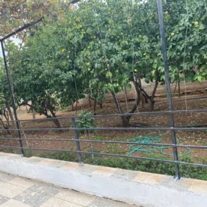ااا0000 