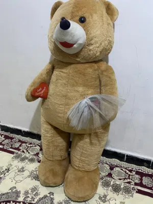 دب عملاق للبيع