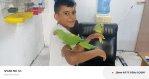 دره اليف محجل