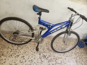 درجة هوائية سنوبرس