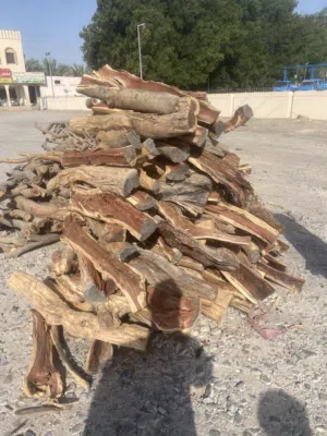 حطب سمر اللبيع
