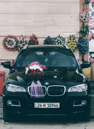 BMW X6_2013
