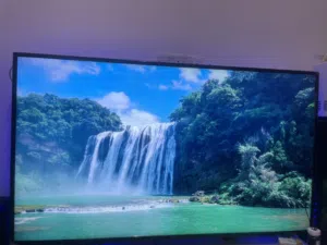 Impex Television  65 inches