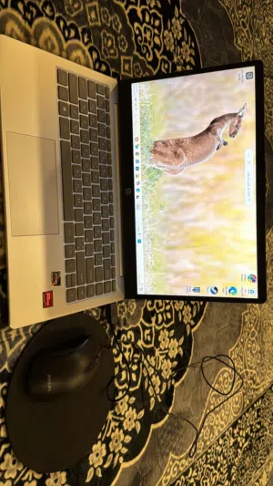 لابتوب HP نظيف جدًا – 237GB – استخدام خفيف – حالة ممتازة