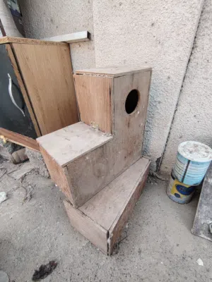 للبيع مصائد للطيور وبية للدره