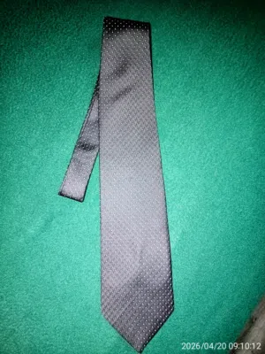 RENÈ CHAGAL handmade silk tie  new and JOSEPH ABBOUD tie used twice
