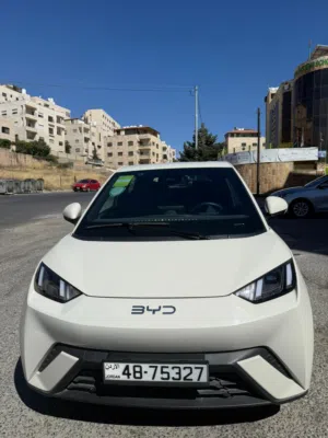 Used BYD Seagull in Amman