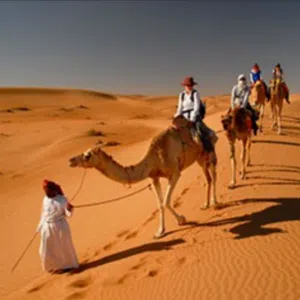 الحمدلله 
