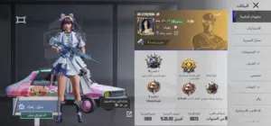 Pubg Accounts and Characters for Sale in Basra