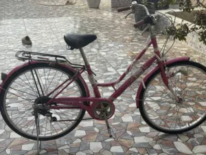 سيكل يابانيً