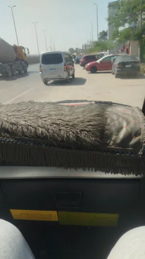عصام كمال 