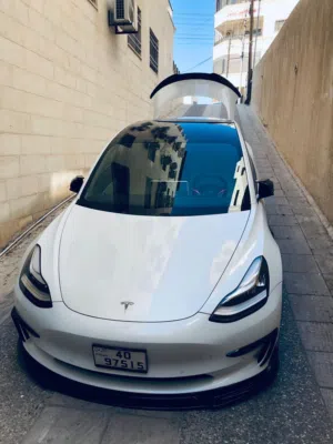 Tesla . Model 3 . 2021 . Used2