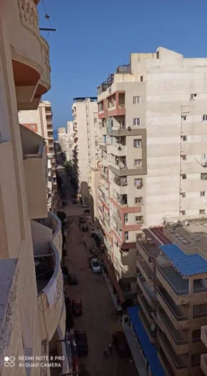 من المالك في قرية اكتوبر النخيل يومي وشهري