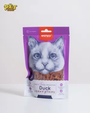 اكل ومستلزمات قطط..تحت سقف واحد