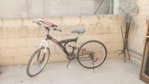بسكليت للبيع