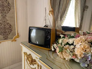 تلفزيون وتلفون قديم للبيع من السبعينات