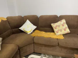 طقم كنب دب للبيع 60
