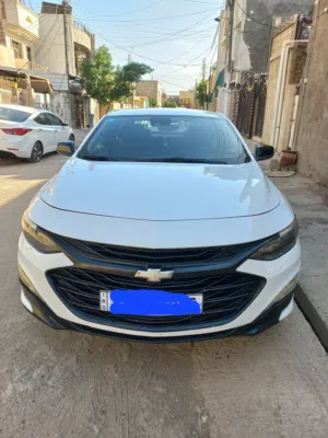 ماليبو 2019