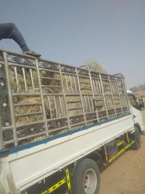 ‏طعام حيوانات ‏.‏ مواشي‏2