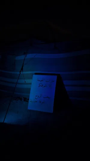 3 Bedrooms . Furnished . Daily0