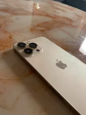 iPhone 13Pro Max