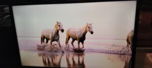 شاشه جي جارد 32 ال اي دي
