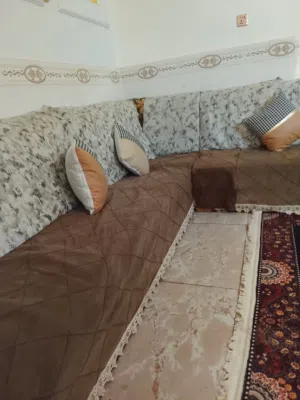 تخم قنفات ب75 بي مجال قليل