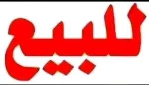 Ali Al-Noor