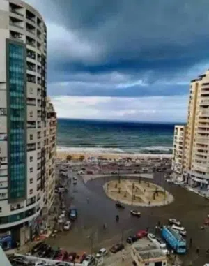لؤلؤة سيدى بشر شارع محمد نجيب