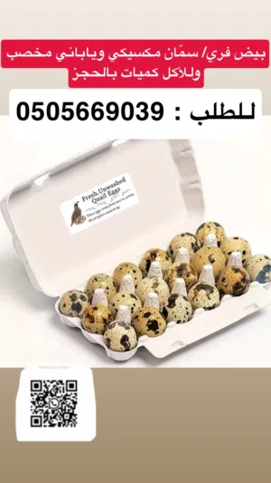 بيض فري / سمان مكسيكي وياباني مخصب وللأكل