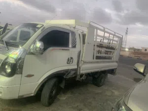 بينقو اربعه جيد