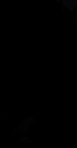 مطلوب كلب هاسكي صغير