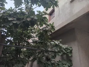 Building for Sale in Tripoli Al-Hadba Al-Khadra