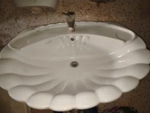 Conchiglia نوعيته