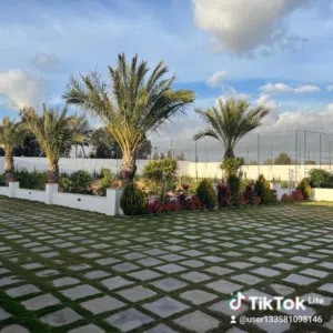 2 Bedrooms Farms for Sale in Tripoli Shil Al-Bueishi